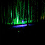 Dr. Glow - Glow In The Dark Disc Golf Experience at Albion Hills Conservation Area