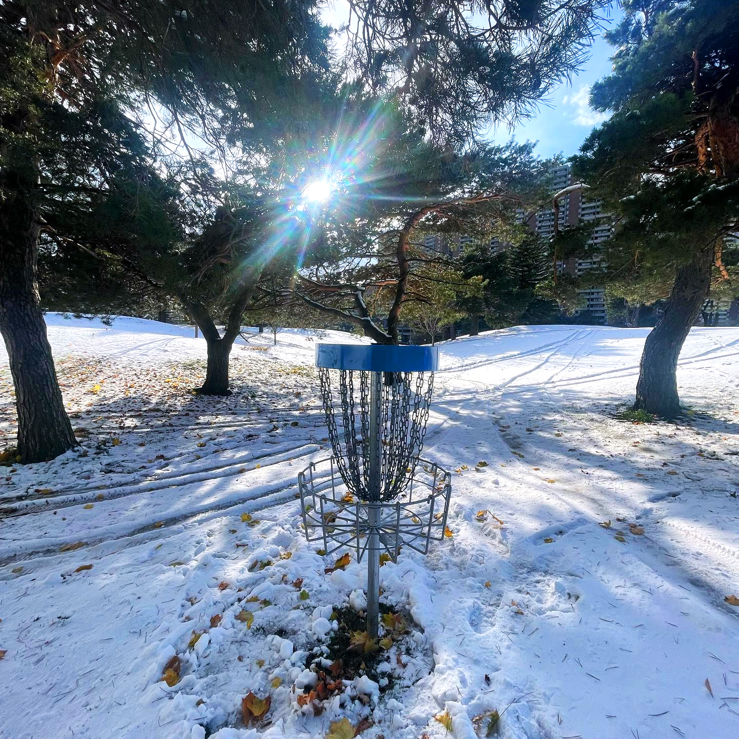 Dentonia Park Disc Golf Course in Toronto, Ontario