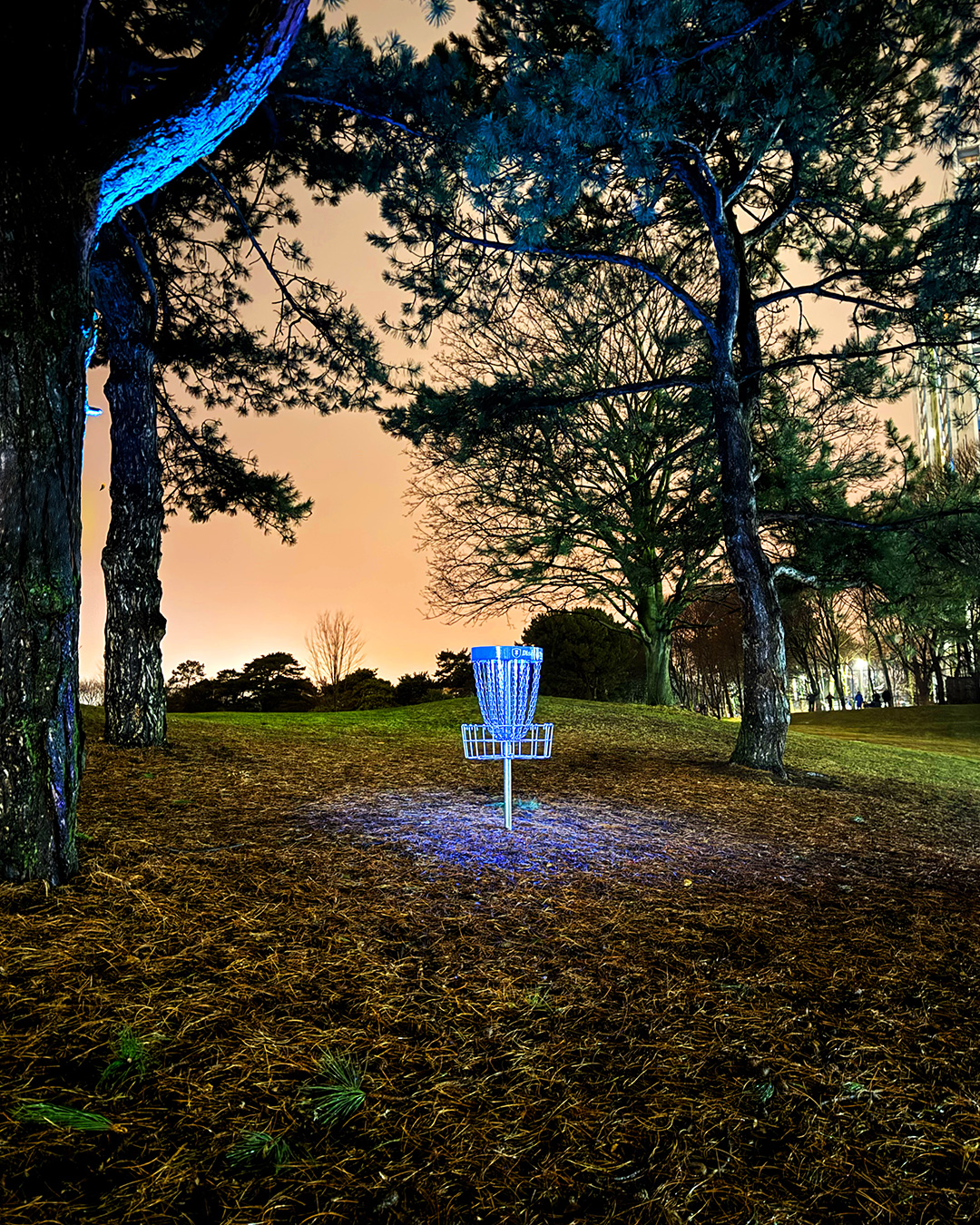 Illuminated disc golf basket at night during a winter glow disc golf event in Southern Ontario