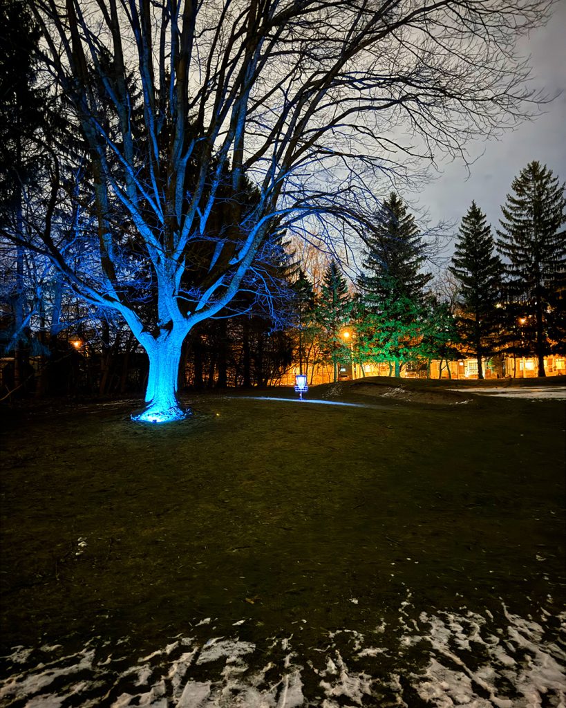 Wide view of a glowing disc golf fairway at night with illuminated chains and basket visible in the distance at Dentonia Park Toronto