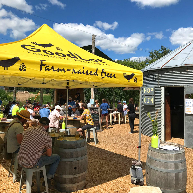 The disc golf course at Goodlot Farmstead Brewing Co. in Caledon, Ontario — newly expanded to 18 holes for the GLOWLOT celebration with Dr. Glow