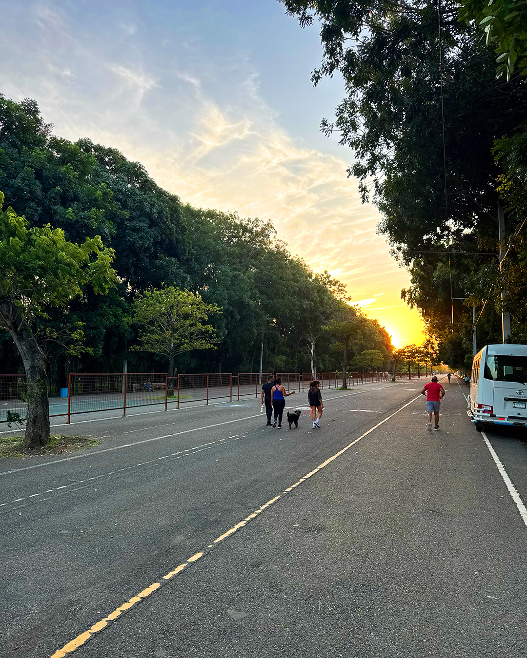 he sun setting over Parque Central de Santiago in the Dominican Republic, where the Paul McBeth Foundation installed the country's first disc golf course.