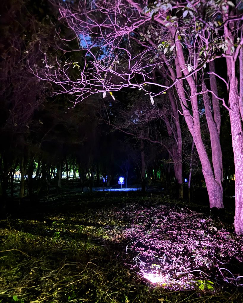 A disc golf basket illuminated with UV and glow lighting in the dark during the first ever glow disc golf round played in the Dominican Republic at Parque Central de Santiago.