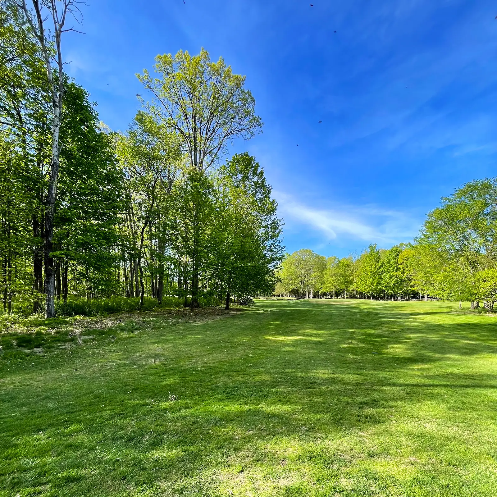 Forest and Fairways Disc Golf Course at Black Bear Ridge - Belleville, Ontario