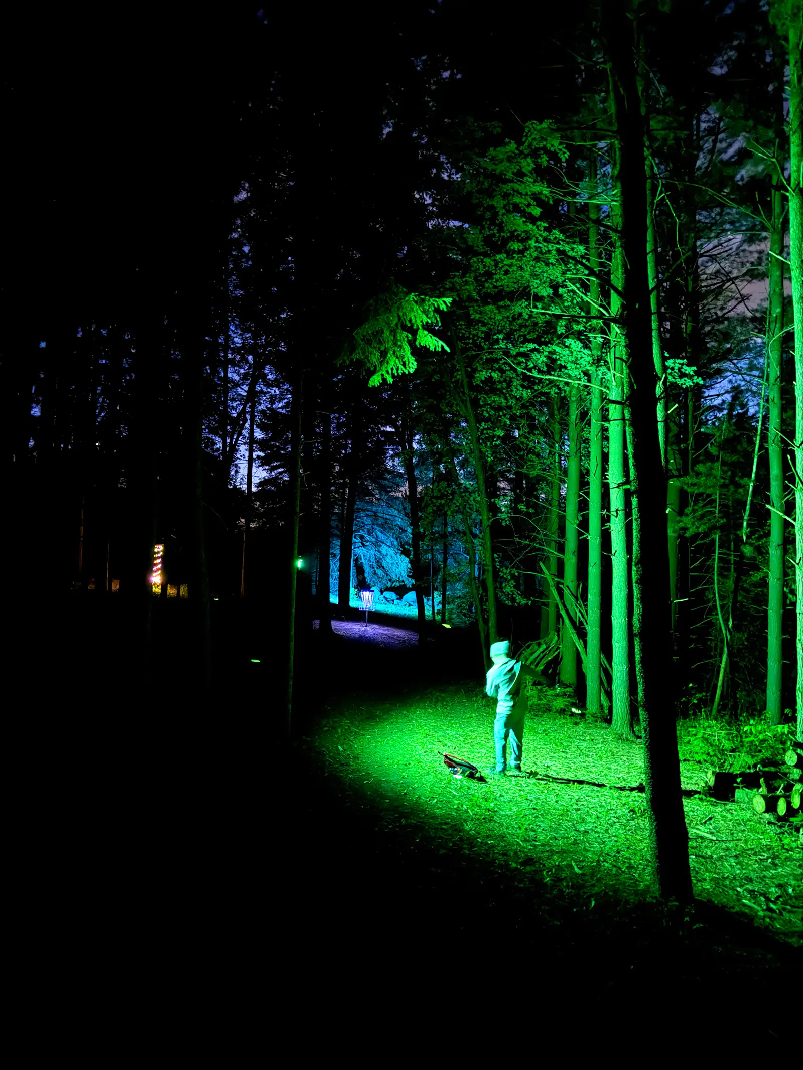 A player stands alone on an illuminated disc golf fairway at night surrounded by green lit trees at the Glow for More event at Albion Hills