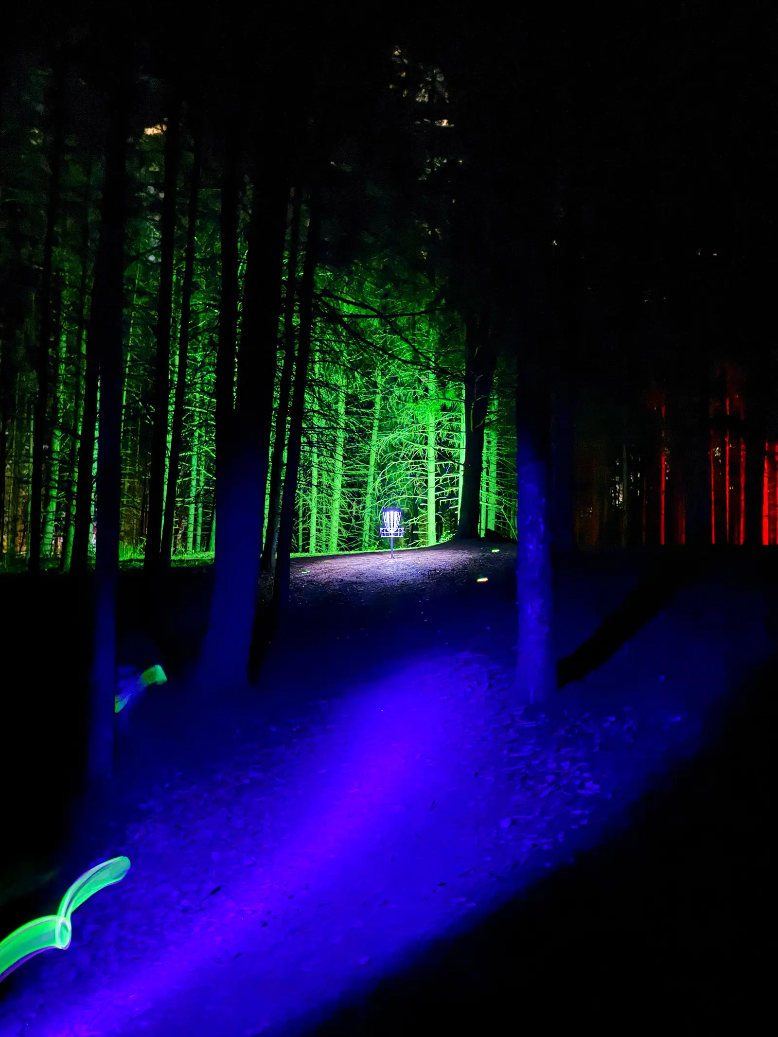 A long disc golf fairway at night illuminated by green and red uplighting with a glowing disc in the foreground at Albion Hills