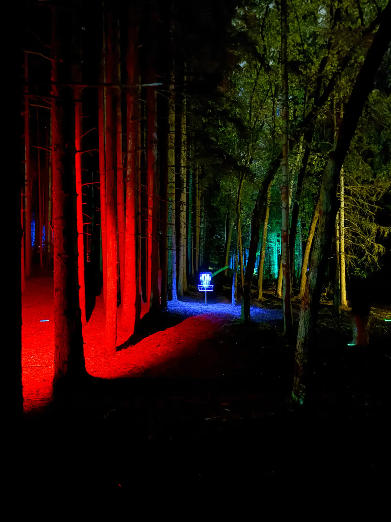 A disc golf fairway corridor lit dramatically in red with a glowing basket at the end at the Glow for More event at Albion Hills Conservation Area