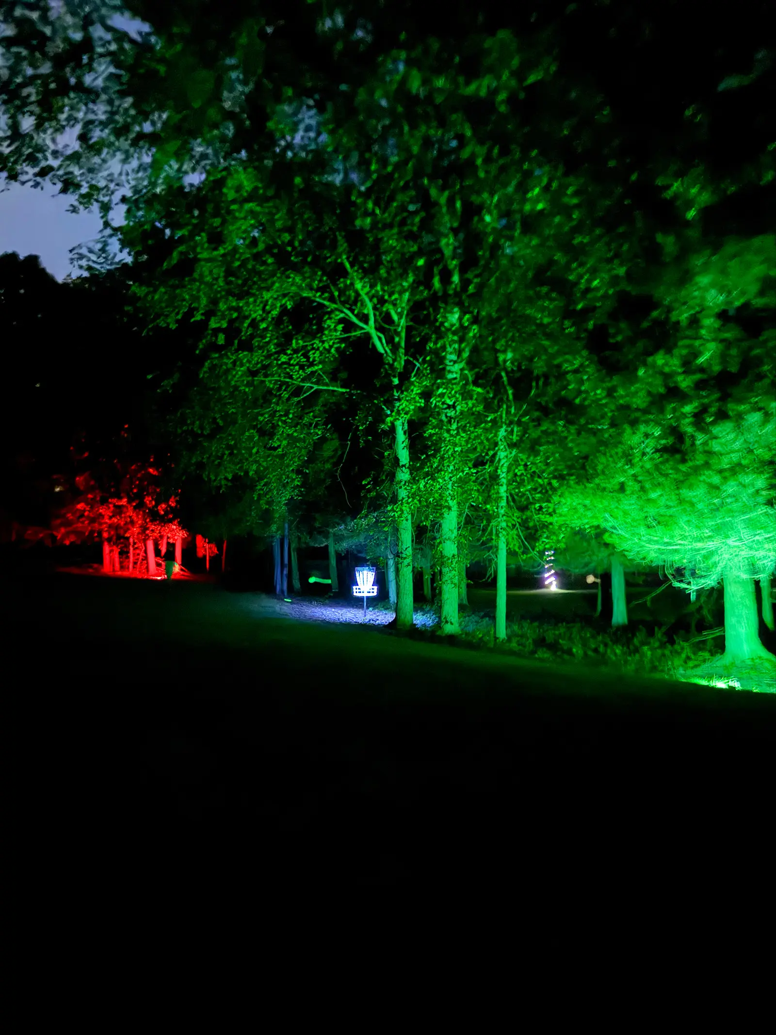 A disc golf basket glows blue in the distance through a forest corridor lit in red and green at Black Bear Ridge.