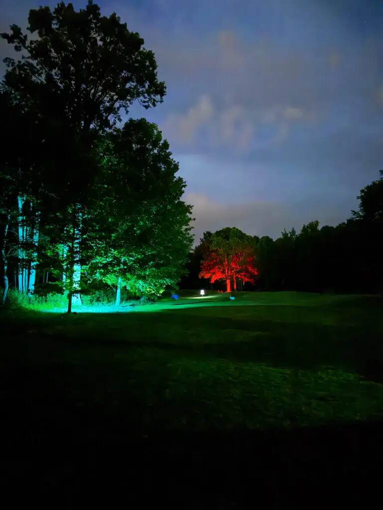 A glowing white disc golf basket sits on the fairway between a green lit tree and a red lit tree under a dusky blue sky at Black Bear Ridge.