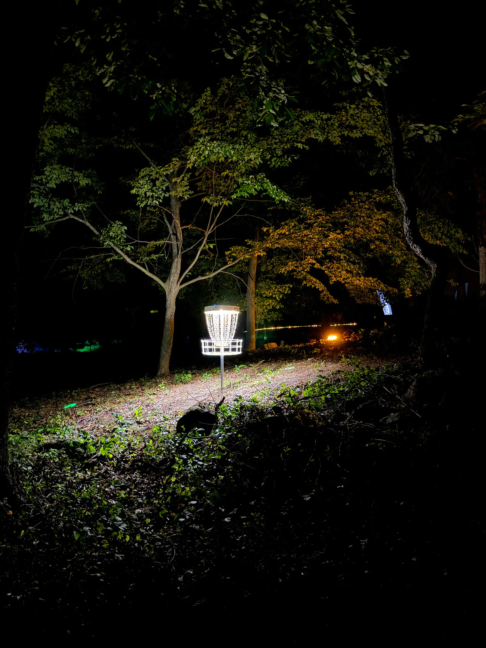 A bright white disc golf basket lights up a wooded path at Black Bear Ridge, with string lights glowing softly in the background.