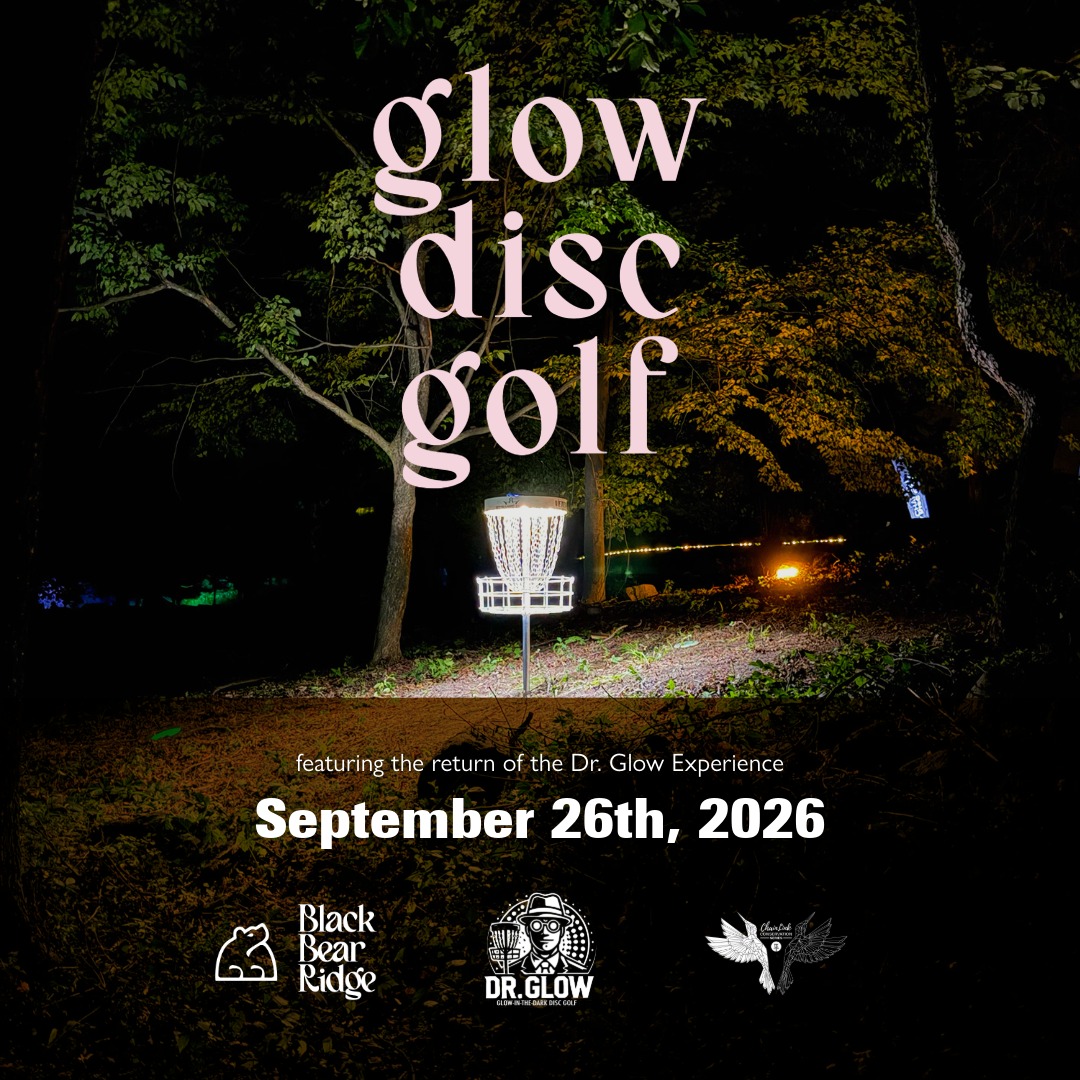 Glowing disc golf basket at Black Bear Ridge Forest & Fairways course