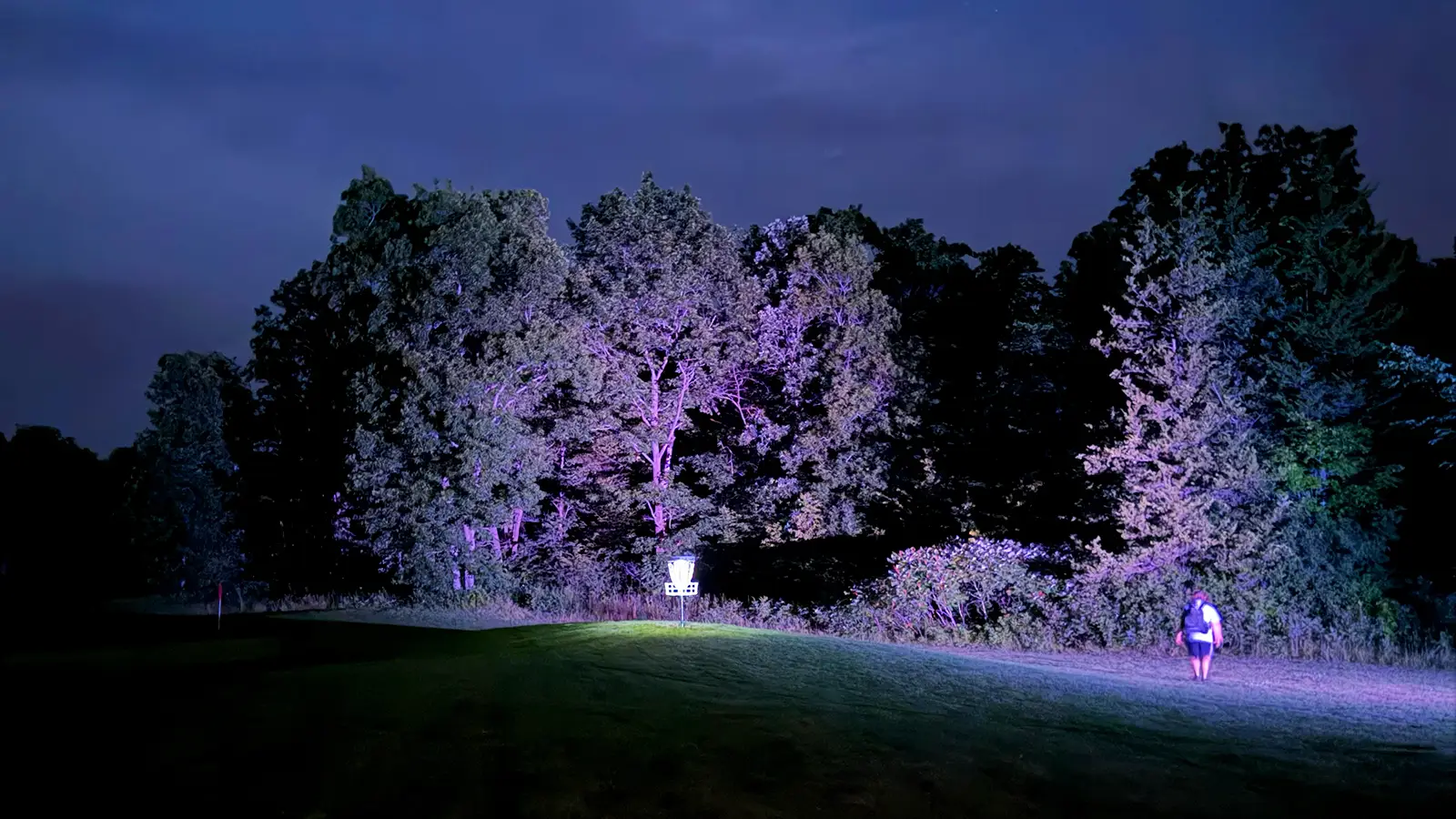 Glowing disc golf basket at Black Bear Ridge Forest & Fairways course