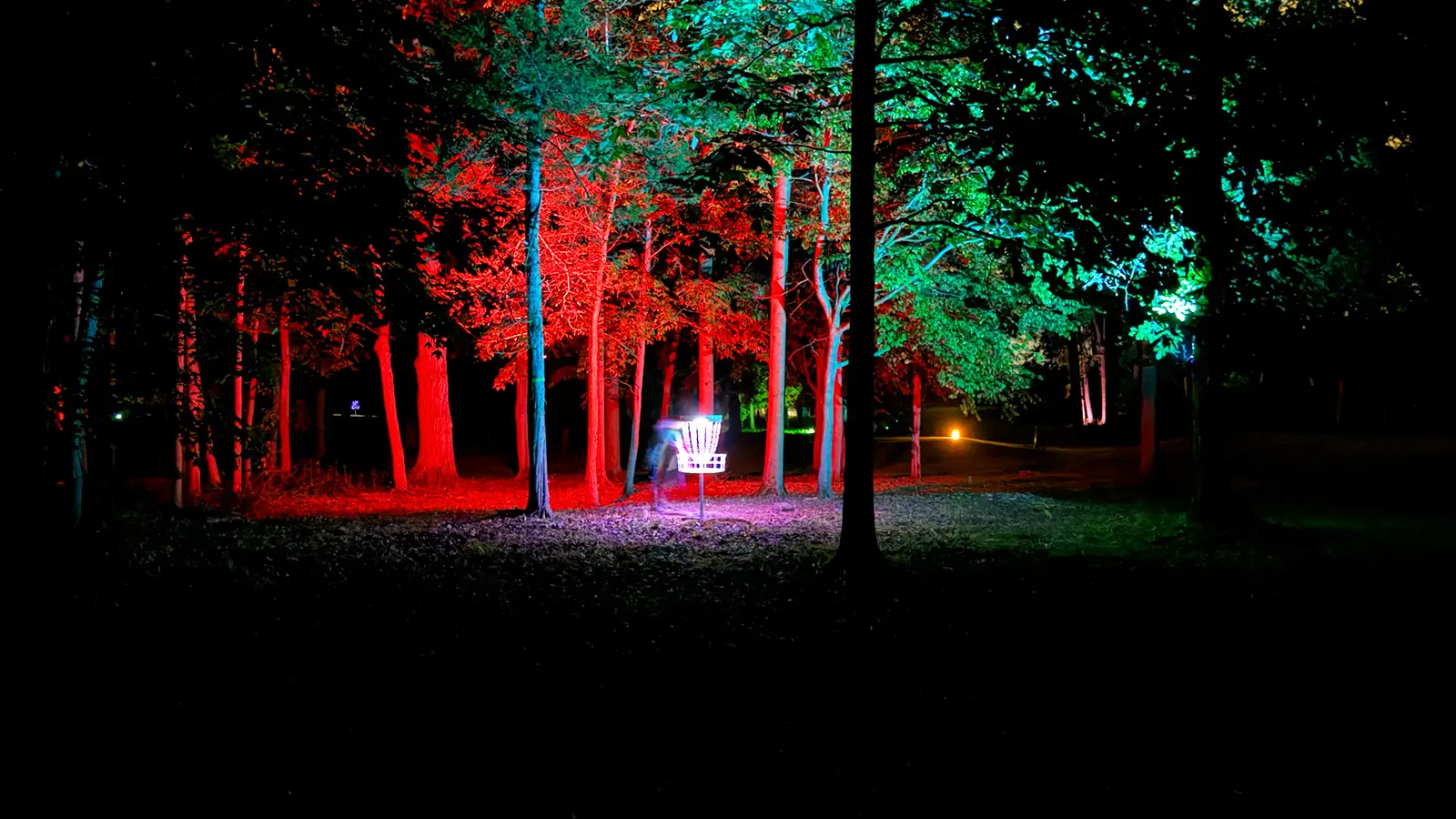 Glowing disc golf basket at Black Bear Ridge Forest & Fairways course