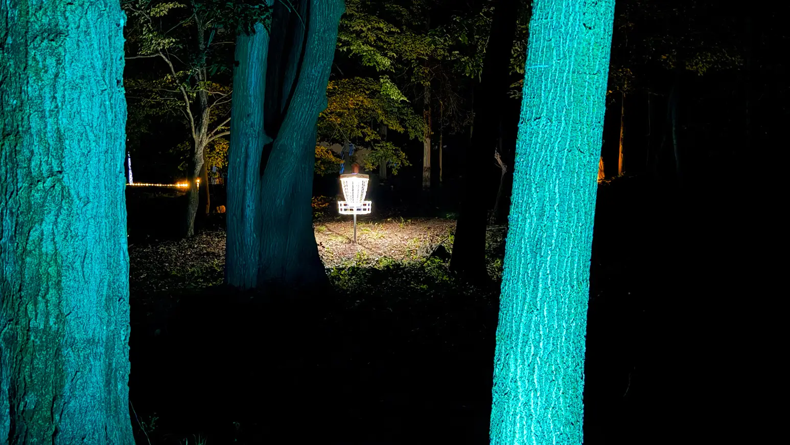 Glowing disc golf basket at Black Bear Ridge Forest & Fairways course