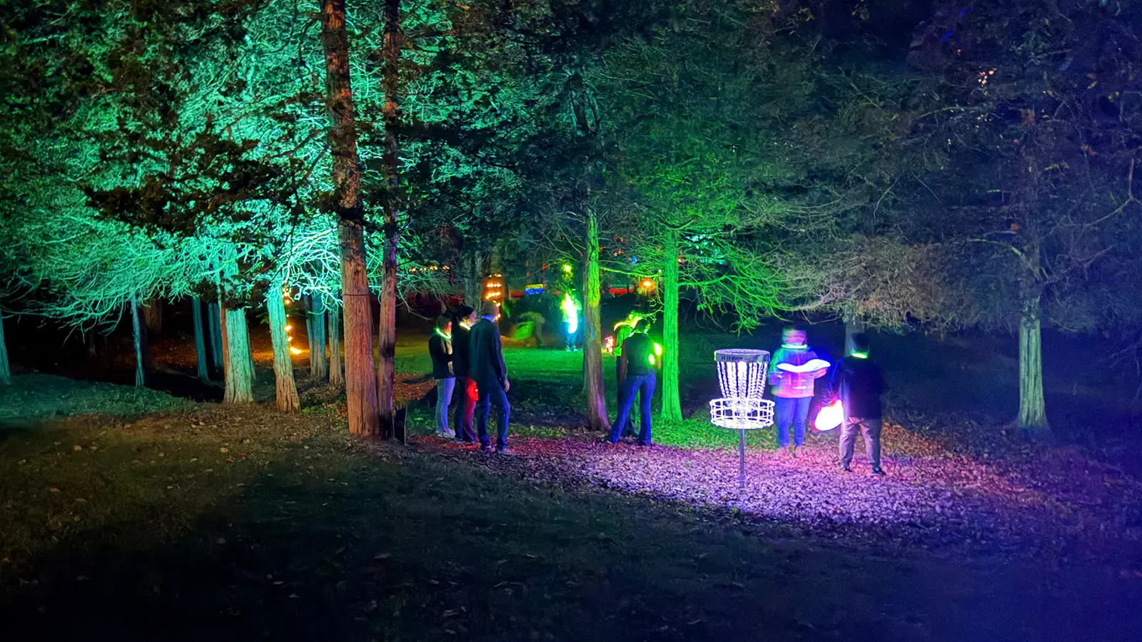 Players gathered near a glowing disc golf basket surrounded by green and purple lit trees at night.