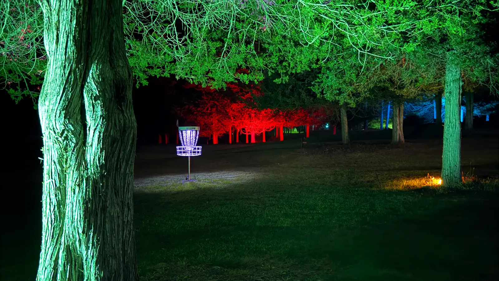 Illuminated disc golf basket on the course at night with red and green UV-lit trees behind it.