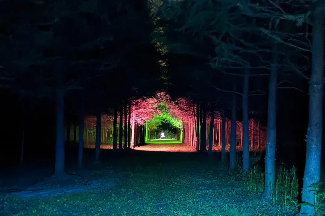 A photo from the first GLOWLOT event in June 2026