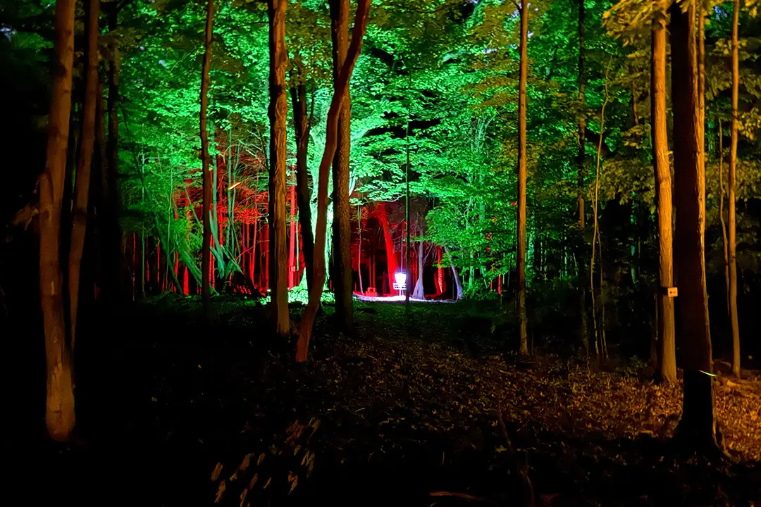 A photo from the first GLOWLOT event in June 2026
