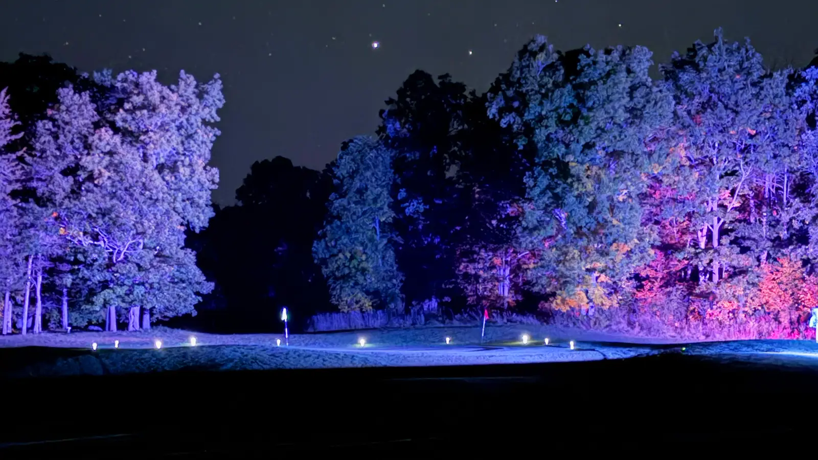 Trees lit in blue and purple frame a Black Bear Ridge fairway at night, with small LED markers lining the edge and a starry sky above.