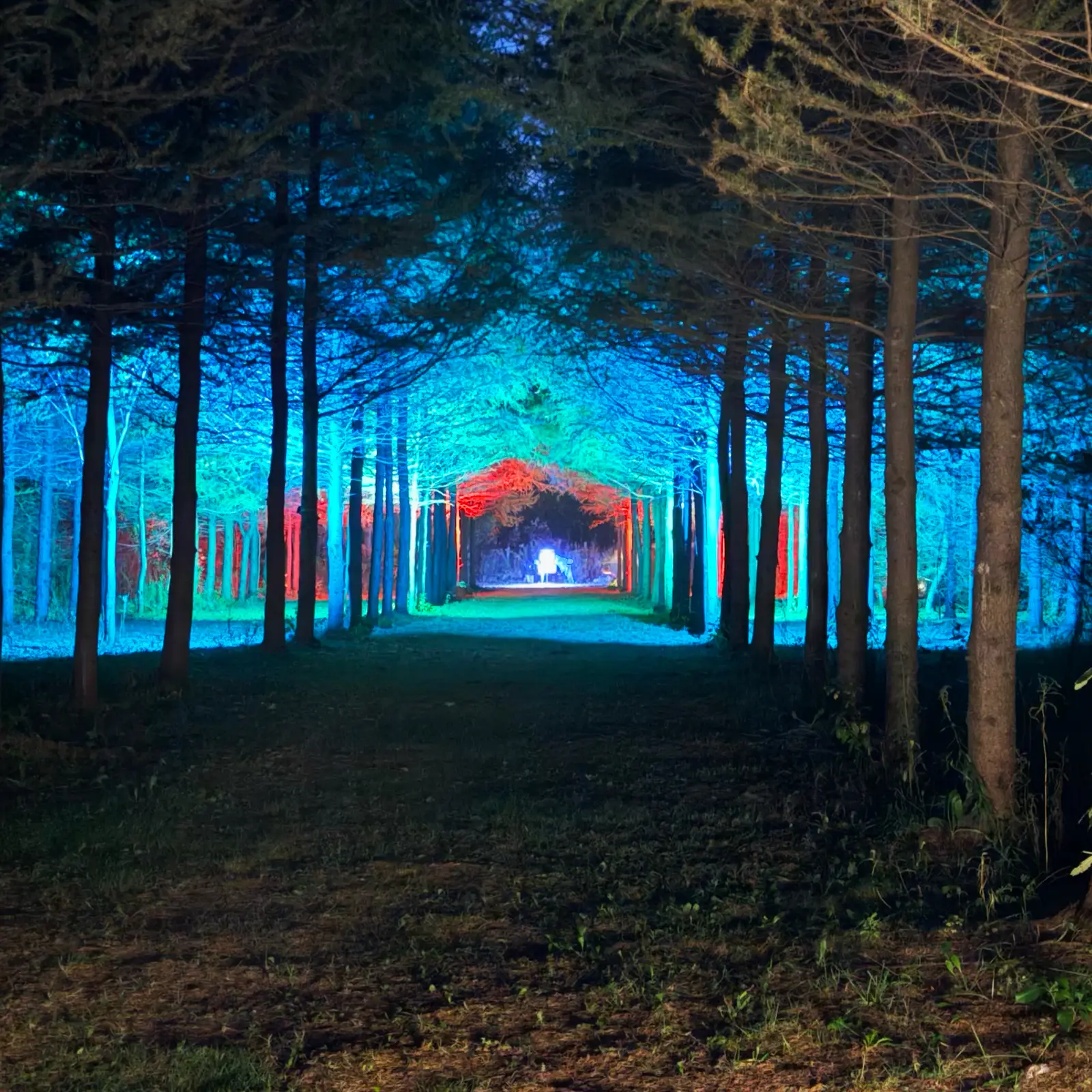 A glowing tree-lined path leading to a lit-up disc golf basket in the distance at GoodLot