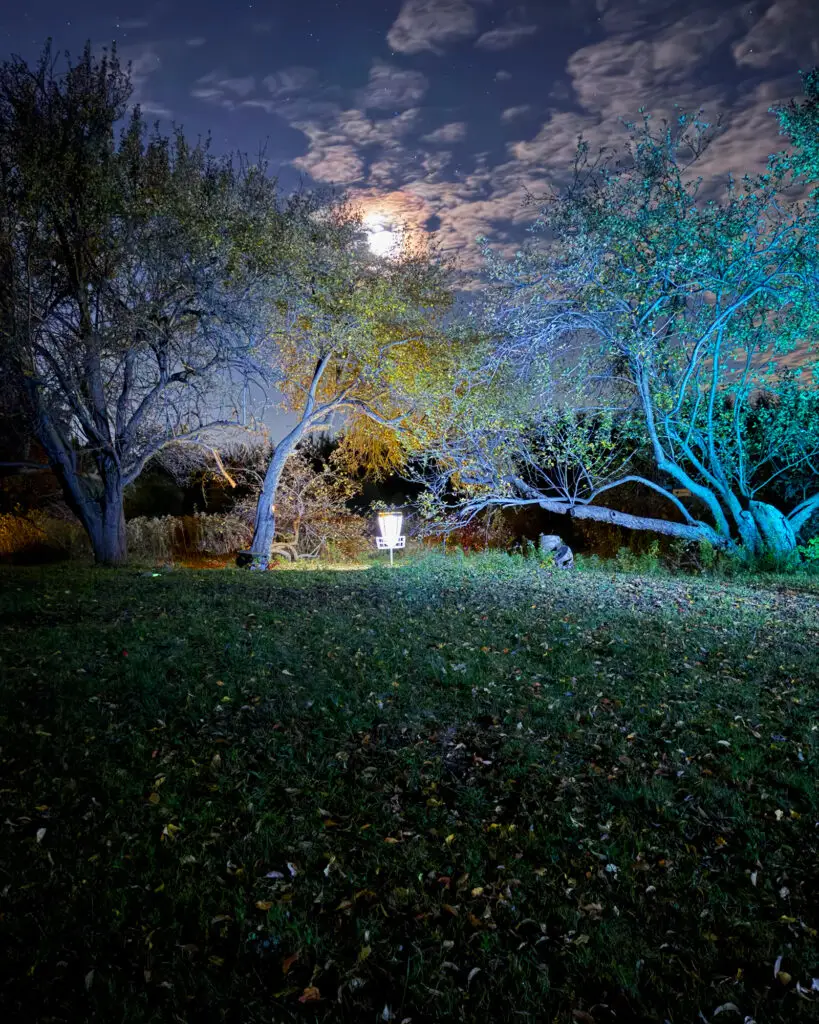 The moon rising over a glowing hole 10 basket with a colourful treeline in the distance at GLOWLOT