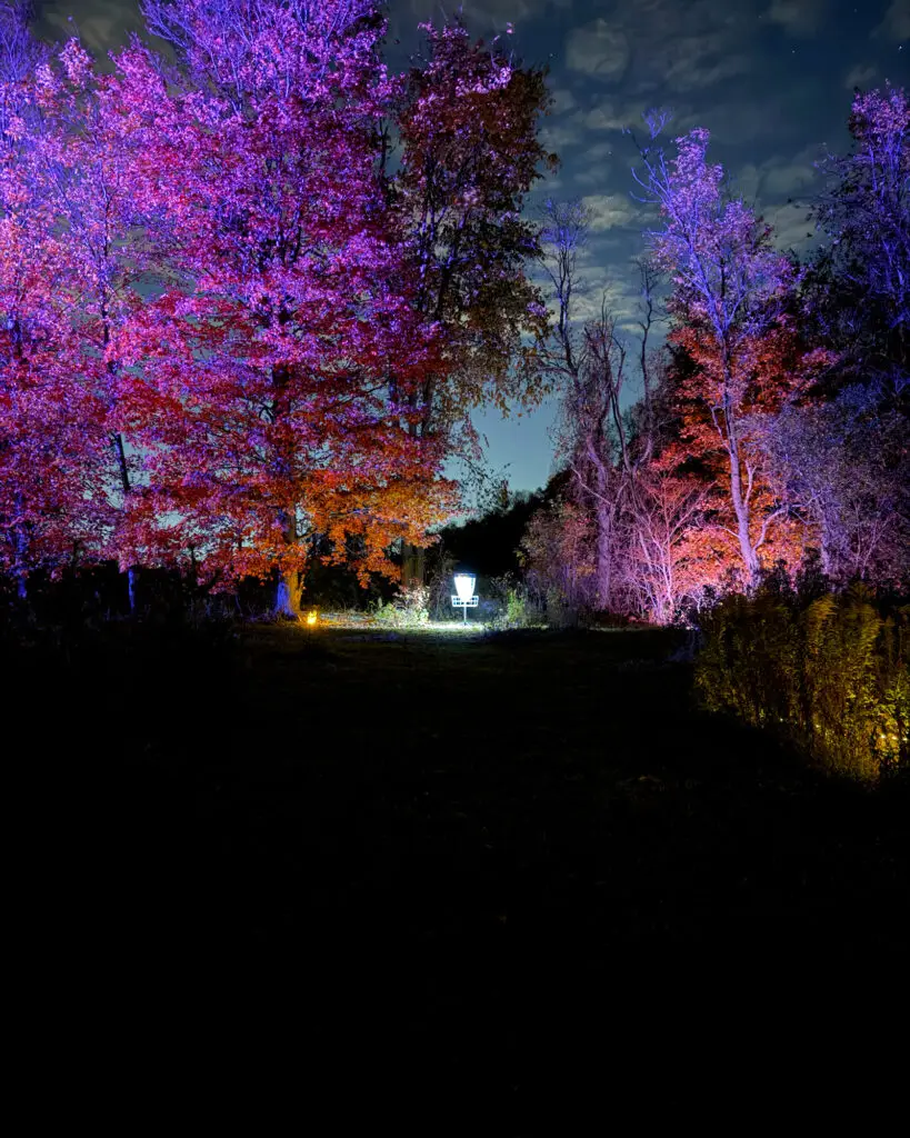 Trees glowing deep purple and orange with a disc golf basket tucked into the grass below