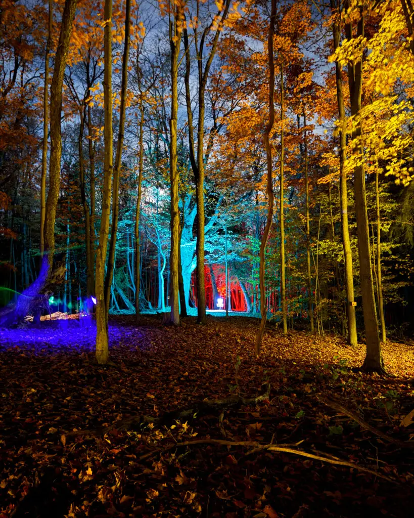 A golden autumn forest path with teal and red light glowing through the trees in the distance
