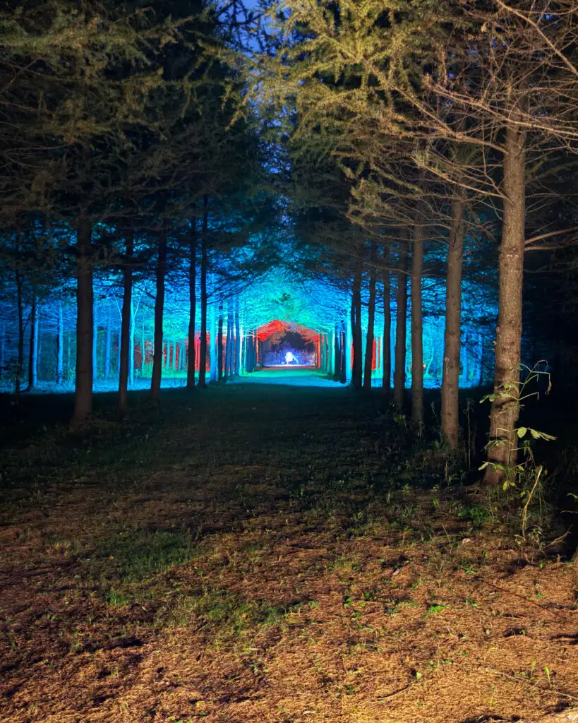 A tree-lined path glowing teal and red leading toward a lit disc golf basket at GoodLot