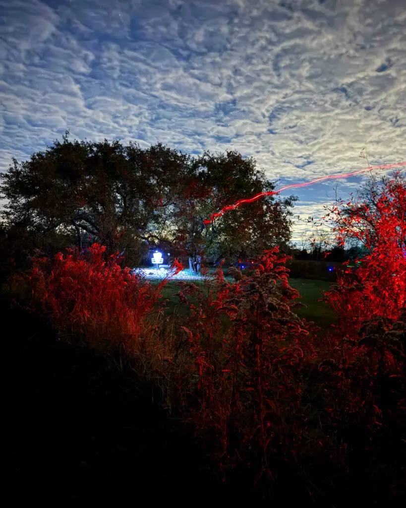 Red-lit bushes in the foreground with a disc golf basket glowing white in the trees beyond