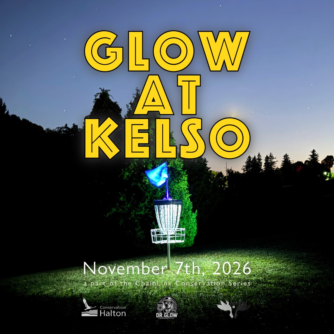 Glow at Kelso graphic with a lit disc golf basket at dusk, November 7th, 2026, as part of the ChainLink Conservation Series.