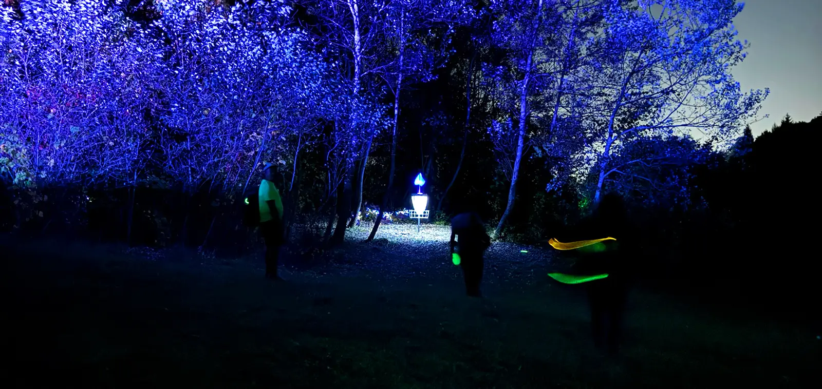 Players walk toward a glowing disc golf basket at night at Kelso, with trees lit in blue and purple.